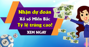 chốt dàn lô 10 con mb siêu cao cấp víp